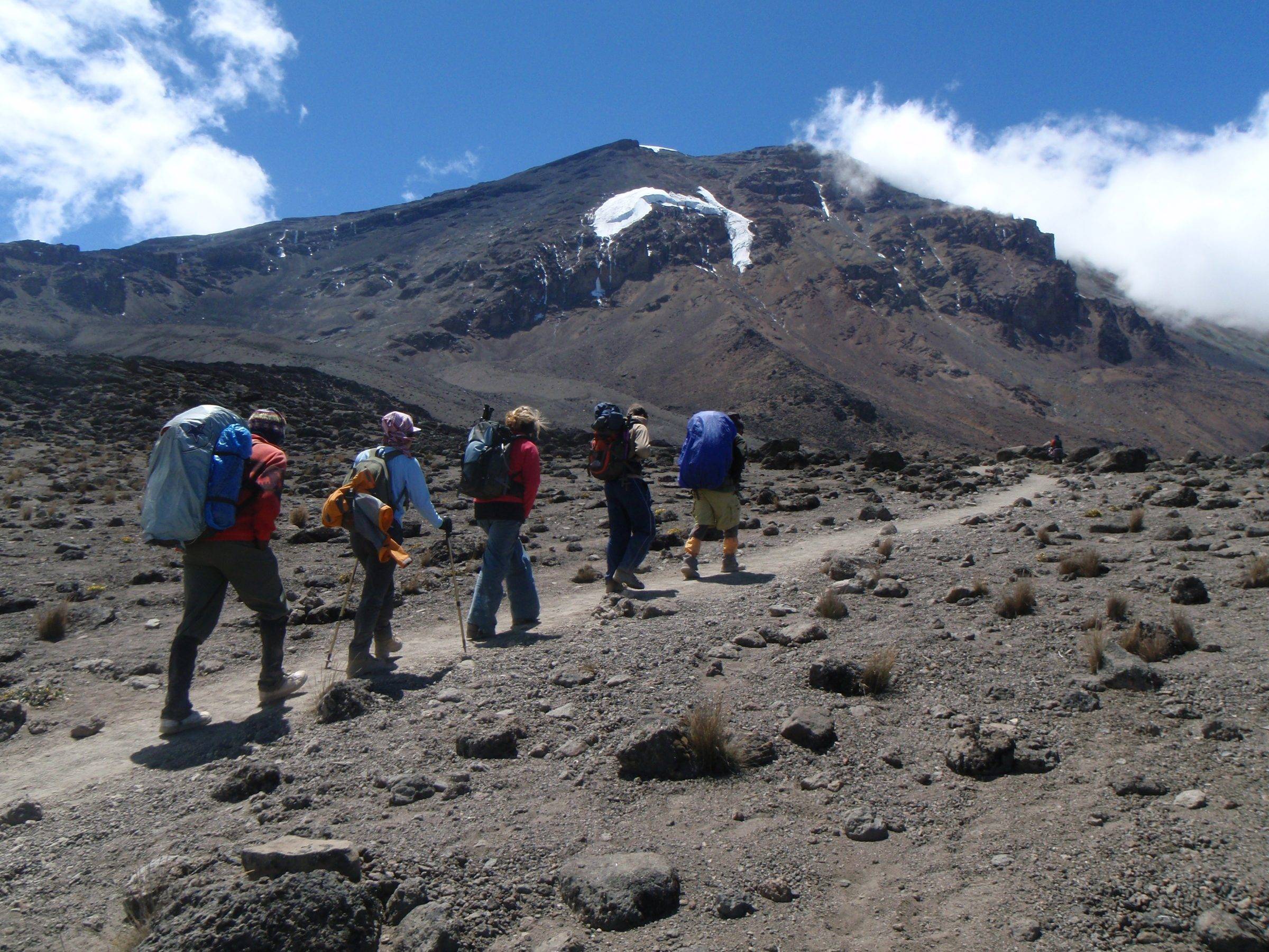 Hikers on the trail toward Lava Tower, Mount Kilimanjaro, Tanzania