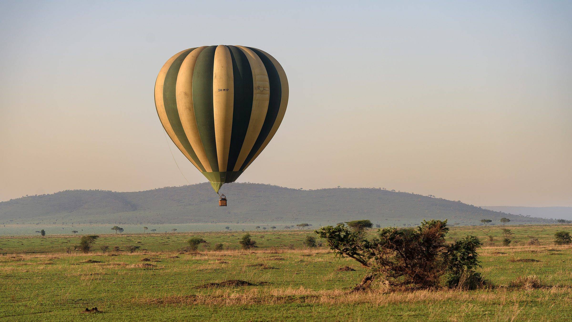 A hot-air balloon over the Serengeti plains at dawn, Tanzania